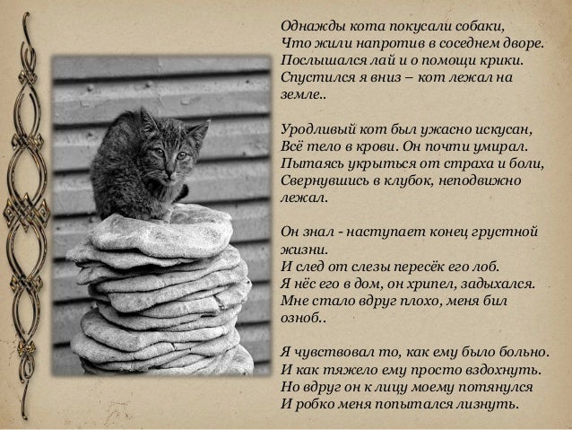 Лучшие книги для беременных и кормящих мам Блоги Мам Лермонтов М. Ю. - Мцыри